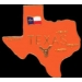 TEXAS PIN TX STATE SHAPE PINS